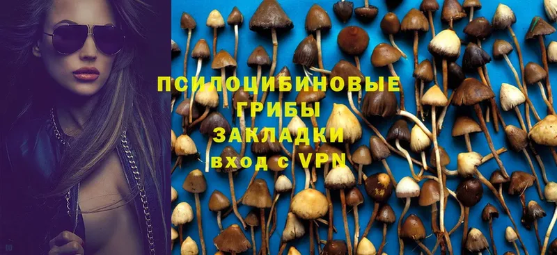 Псилоцибиновые грибы MAGIC MUSHROOMS  Новая Ляля 